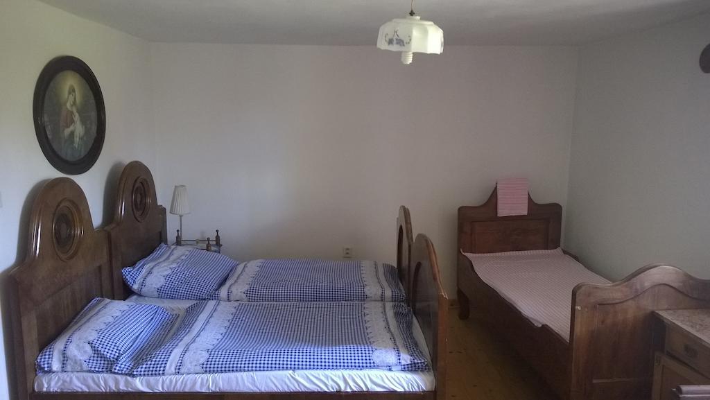 Ubytovani U Giordanu Slavonice Oda fotoğraf